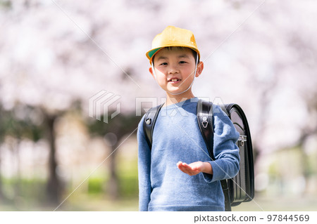 elementary student, primary school child, primary school student 97844569