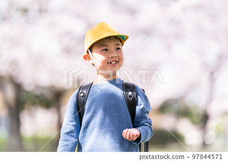 elementary student, primary school child, primary school student 97844571
