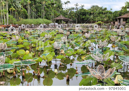 東南植物園（沖繩縣） 97845001