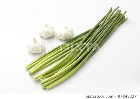 蒜苗和大蒜 97845327