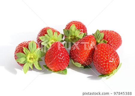 草莓(幸香) 草莓(幸香) 97845388