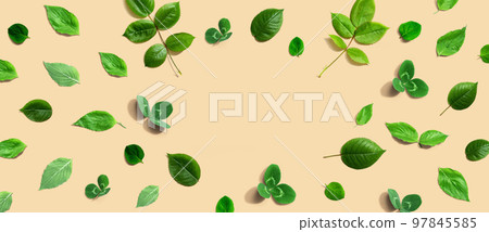 Green leaf frame design background Green leaf frame design background 97845585