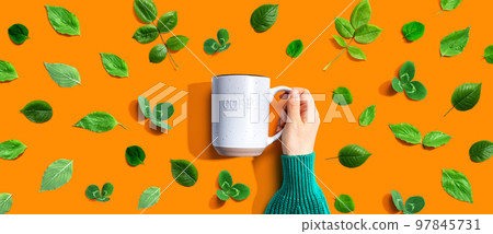 Person holding a mug with green leaves Person holding a mug with green leaves 97845731