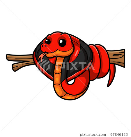 Cute red spitting cobra cartoon on tree branch 97846123