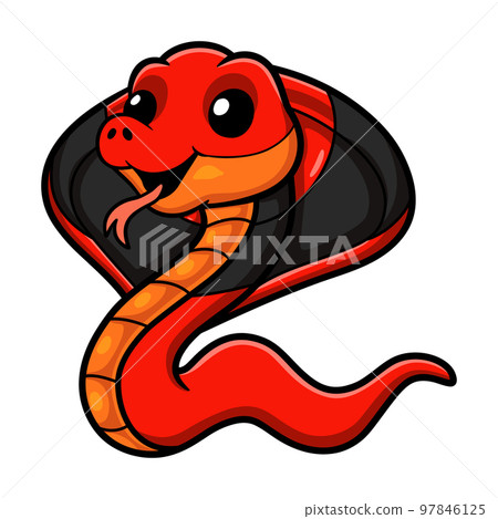 Cute red spitting cobra cartoon 97846125