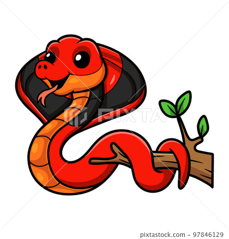 Cute red spitting cobra cartoon on tree branch 97846129