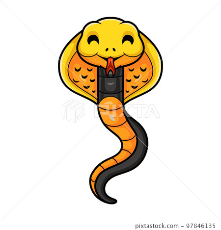 Cute philippines cobra cartoon (Naja samarensis) 97846135