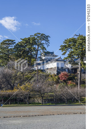 Odawara Castle Ruins Park Looking at the castle tower from the copper gate 97848283