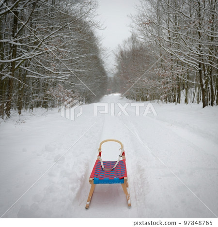 Winter background in nature with sled. Trees and snowy landscape during outdoor activities in winter. Winter background in nature with sled. Trees and snowy landscape during outdoor activities in winter. 97848765