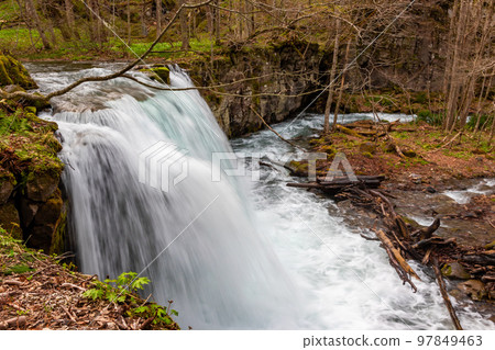 Choshi Otaki Waterfall, seen in the Oirase Gorge in Aomori Prefecture in spring 97849463