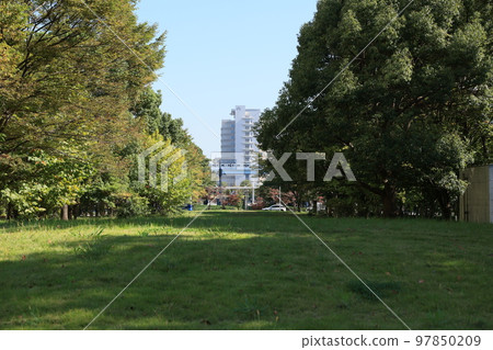 東京都江東區有明東散步道風景 東京都江東區有明東散步道風景 97850209
