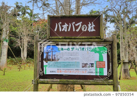 Southeast Botanical Garden Baobab (Okinawa Prefecture) 97850354