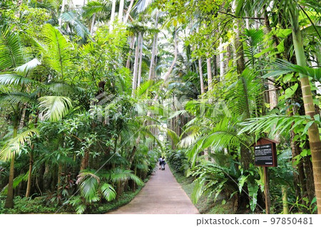 Southeast Botanical Garden Yusurayashi (Okinawa Prefecture) Southeast Botanical Garden Yusurayashi (Okinawa Prefecture) 97850481