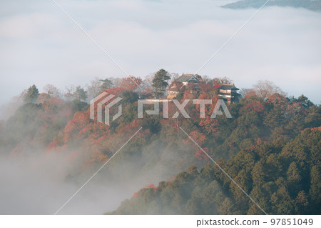 【日本百座城】備中松山城從秋季雲海展望台眺望日出時的天守閣、瞭望塔和秋葉9岡山縣高橋市 【日本百座城】備中松山城從秋季雲海展望台眺望日出時的天守閣、瞭望塔和秋葉9岡山縣高橋市 97851049
