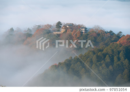 [Japan's Top 100 Castles] Bitchu Matsuyama Castle The castle tower, watchtower, and autumn leaves seen from the observatory deck 5 Takahashi City, Okayama Prefecture 97851054