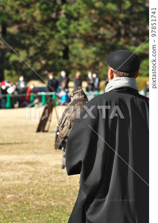 Hawk and falconer Hawk and falconer 97851741