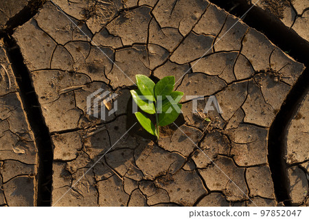 Drought impact and climate change Drought impact and climate change 97852047