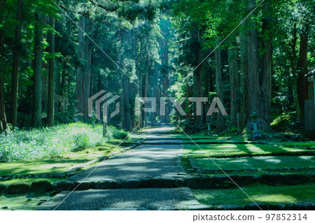 福井縣平泉寺白山神社參拜 97852314