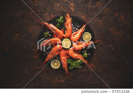 Sea food concept Sea food concept 97853286