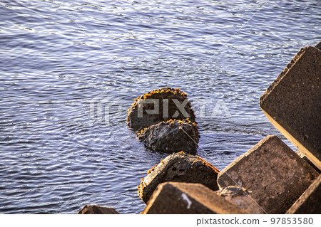 Wave-dissipating block of Aise Port breakwater, Hitachi City, Ibaraki Prefecture 97853580