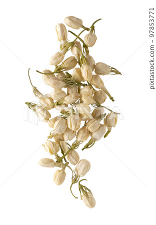 Dry jasmine flowers isolated on white background. Jasmine flowers tea. Herbal tea. Clipping path. Top view. 97853771