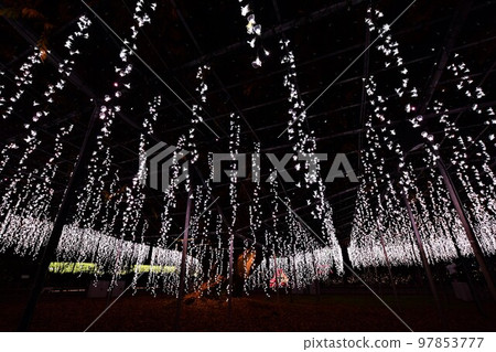 Ashika Flood Park Illumination Ashika Flood Park Illumination 97853777