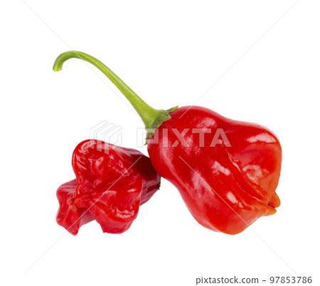 Ripe red chili peppers isolated on a white background. Capsicum baccatum or Bishop's crown pepper. 97853786