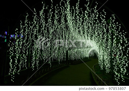 Ashika Flood Park Illumination Ashika Flood Park Illumination 97853807