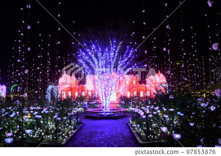 Ashika Flood Park Illumination Ashika Flood Park Illumination 97853876