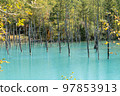 Blue Pond in Biei, Hokkaido in Autumn 97853913
