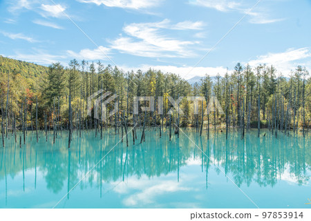 Blue Pond in Biei, Hokkaido in Autumn 97853914