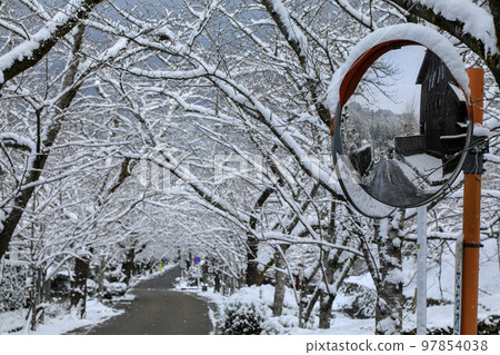 Snow Fall Moon Snow Fall Moon 97854038