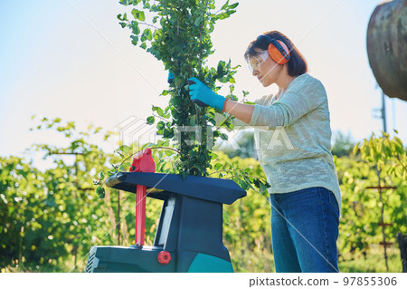 Woman using electric garden shredder for branches and bushes 97855306
