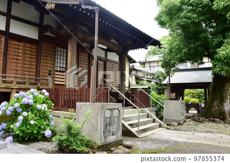 Odawara Seven Lucky Gods Dairenji Main Hall and Hydrangea Odawara Seven Lucky Gods Dairenji Main Hall and Hydrangea 97855374