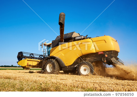 Combine harvester harvesting golden wheat field, harvester working in an agricultural field, harvest season Combine harvester harvesting golden wheat field, harvester working in an agricultural field, harvest season 97856050