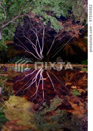 Autumn leaves garden, 30th Garden, Unzen City, Nagasaki Prefecture 97856862