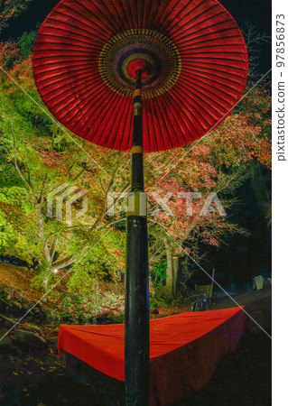 Autumn leaves garden, 30th Garden, Unzen City, Nagasaki Prefecture 97856873