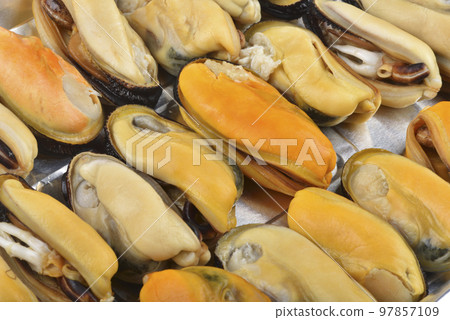 市場新鮮的馬祖淡菜海鮮高角度視圖 97857109