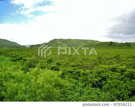 Iriomote Island Jungle seen from a hill Iriomote Island Jungle seen from a hill 97858211