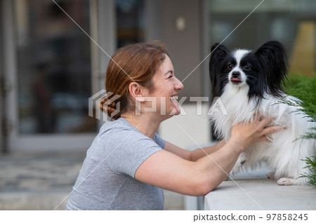 Caucasian red-haired woman cuddling with pappilion dog outdoors. Black and white continental spaniel. Caucasian red-haired woman cuddling with pappilion dog outdoors. Black and white continental spaniel. 97858245