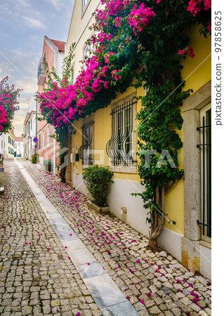 Pedestrian street in Cascais 97858625