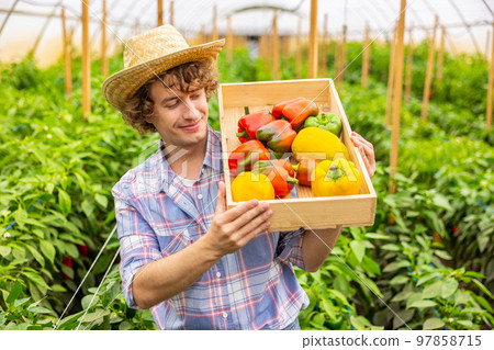 Contented vegetable grower showing off the paprika harvest 97858715