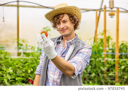 Young agronomist rejoicing at the harvest of paprika Young agronomist rejoicing at the harvest of paprika 97858745