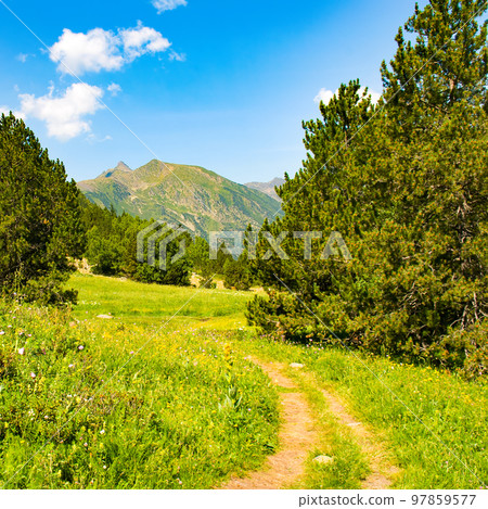 A picturesque mountain landscape with a green meadow, pine trees and a footpath. A picturesque mountain landscape with a green meadow, pine trees and a footpath. 97859577