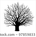 Tree without leaves on white vector illustration 97859833
