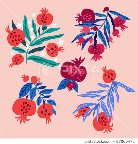 Set of pomegranate fruits 1 Set of pomegranate fruits 1 97860473