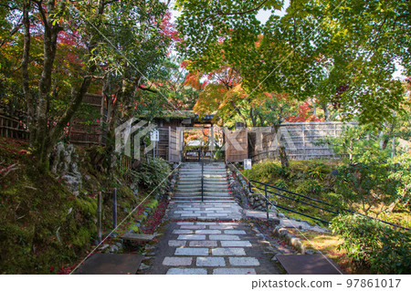Akashino Nembutsu-ji Temple(京都)的秋葉 Akashino Nembutsu-ji Temple(京都)的秋葉 97861017
