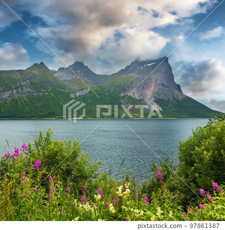 Fjord summer cloudy view, Norway 97861387