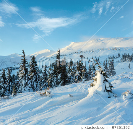 Morning winter mountain landscape (Carpathian). Morning winter mountain landscape (Carpathian). 97861392