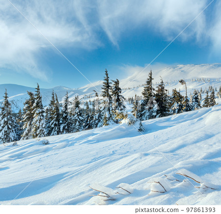 Morning winter mountain landscape (Carpathian). Morning winter mountain landscape (Carpathian). 97861393